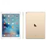  Apple iPad Pro 12.9 inch WiFi 128GB Tablet