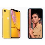 گوشی موبایل اپل مدل iPhone XR حافظه داخلی 256 گیگابایت 