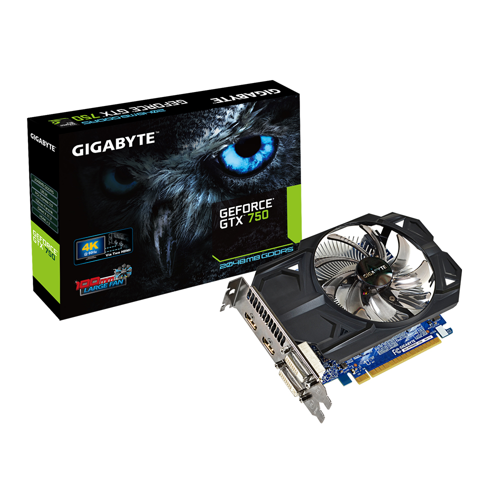 GIGABYTE GV-N750OC-2GI GeForce GTX 750 2GB	